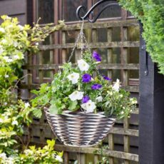5050642088909 1 Yeoman Basket.jpg